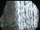 waterfall.jpg (7823 bytes)